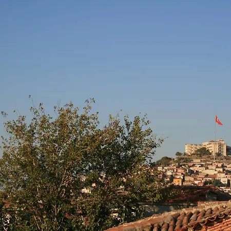Dalgaci Deniz